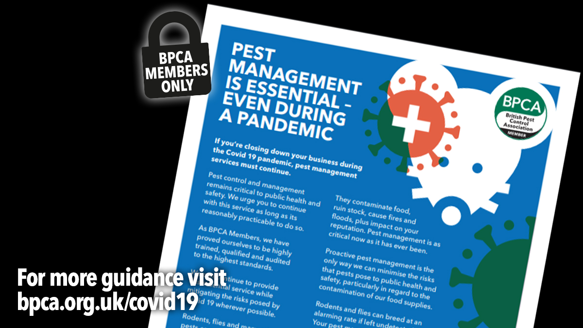 pest-management-in-a-pandemic pest-management-in-a-pandemic